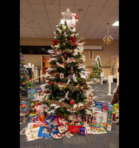 Tree 24-051 - "In Memory" item