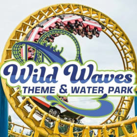 Two (2) Wild Wave Passes item