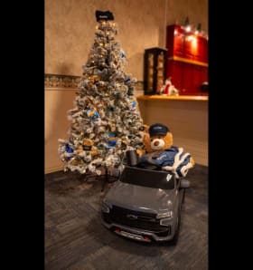 Tree 24-103 - "Banks Chevrolet" item