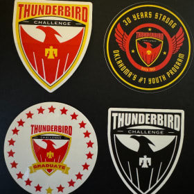 TCP  LOGO DECALS item