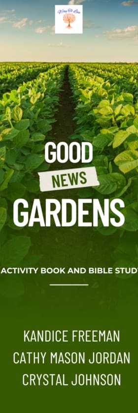 Good News Gardens Activity Book and Bible Study item
