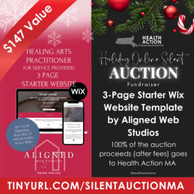 One 3 Page Starter Wix Website Template - $147 Value item