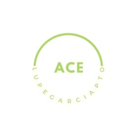 ACE item