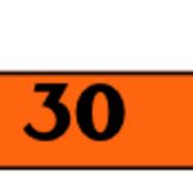 #30 - 8' Table ONLY Space item