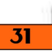 #31 - 8' Table ONLY Space item