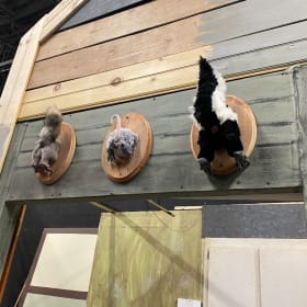 Faux Taxidermy Animal Anus Art - Offer 2 item