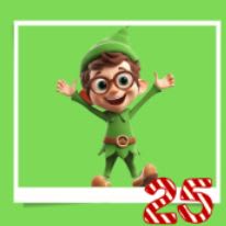 Workshop Elf 25 item