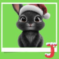 Rabbit Elf J item
