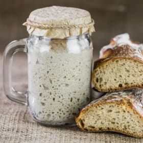 Sourdough Starter with Instructions item