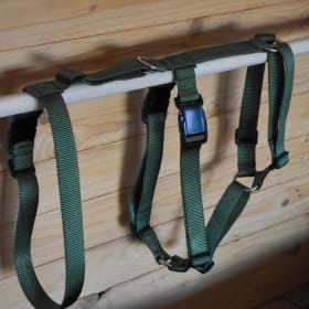 harnais #1 Wild and Free Accessoires item