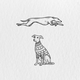 Tattoo de Galgo ou Podenco item