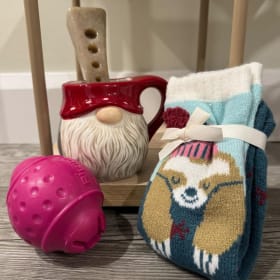 Trousse de comfort #1 pour vous et votre chien. item