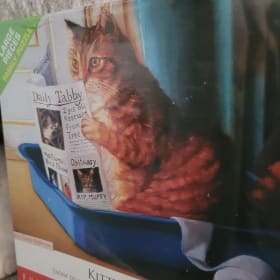 Kitty Throne Puzzle item