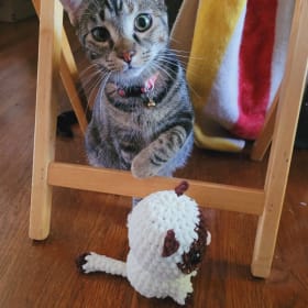 Dark Brown Face, Paw and Ear Crochet Cat item