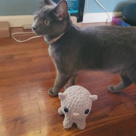 Grey Crochet Cat (with Mary Shelley) item