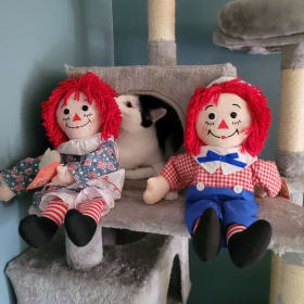 Signed Raggedy Ann and Andy Dolls - "Not Haunted" item