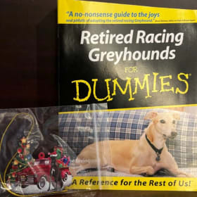 Livre et ornement de Noel item