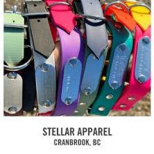 Custom Dog Collar by StellaR Apparel item