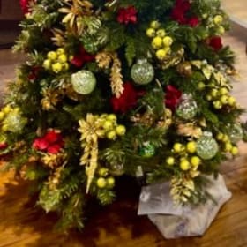 Birds Blooms Tree by Manassas Symphony Orchestra item