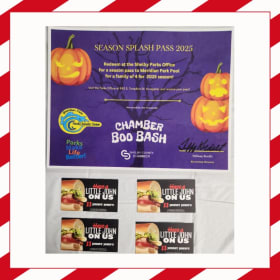 Season Splash Pass & 4 Free Jimmy John's Mini Sandwiches item