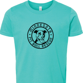 Youth- Teal T-Shirt item