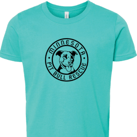 Adult- Teal T-Shirt item