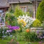 Wilder Gardens  with Jim Natale item