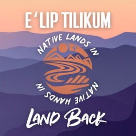 No T-shirt, Just a Donation! item