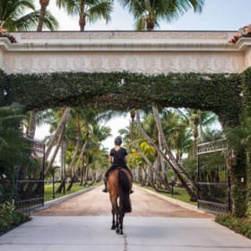 Eye Candy Stables Tour & Lunch item