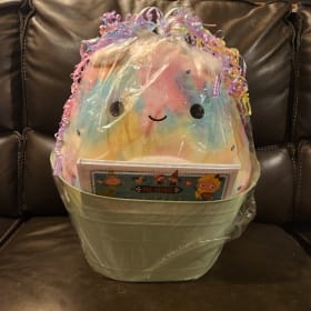 Item #22 Children's Basket 6- Noe Squishmallow item