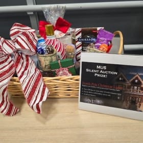 MUS (Making U Sparkle) Basket item