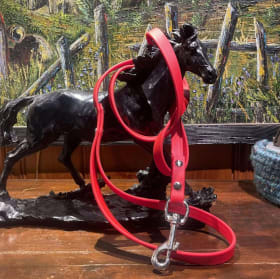 Laisse en biothane item