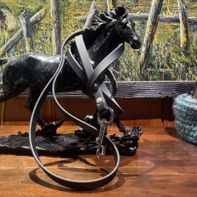 Laisse en biothane item