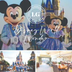 Disney World Wonder! 6 guests, 4 nights item
