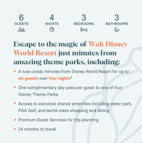 Disney World Wonder! 6 guests, 4 nights item