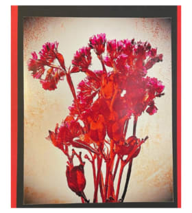 "Assorted Flowers, Shades of Red" - print by Esther Lewis item