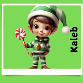 KALEB THE ELF item
