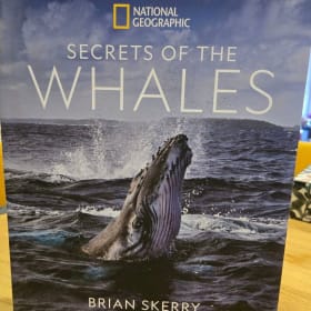 Coffee table books from Book City Beaches item