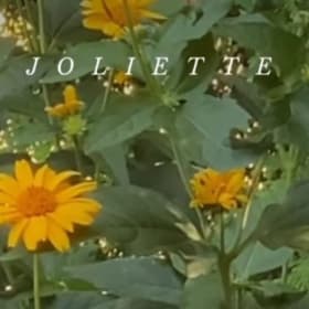 $100 Joliette gift card item
