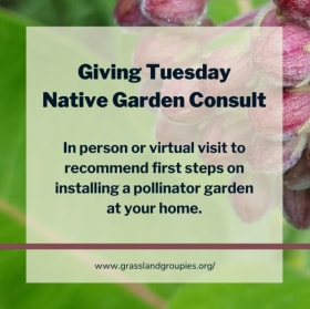 Garden Consult 1 item