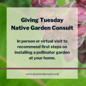 Garden Consult 2 item