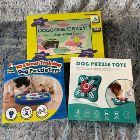 Game Night - Fun for 2 leggers and 4 leggers alike item