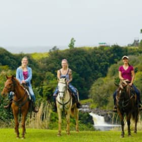 Wailea Horseback Waterfall Swim & Trail Ride for 2($303 Val) item