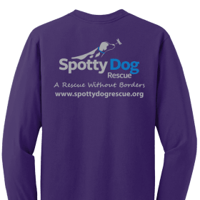 Purple "You Can't Buy Love, Adopt It" item