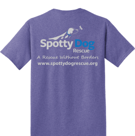 Heather Purple "You Can't Buy Love, Adopt it" item