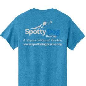 Heather Sapphire "Until There are None, Rescue One" item