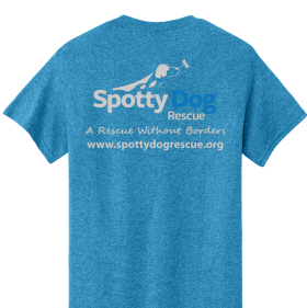 Heather Sapphire "You Can't Buy Love, Adopt it" item