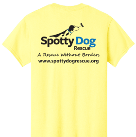 Cornsilk "You Can't Buy Love, Adopt It item