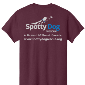 Maroon "Until There are None, Rescue One item