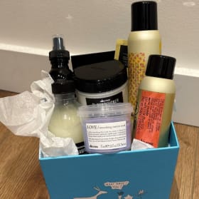 Davines Hair Package by Concrete Blonde (Value: $415) item